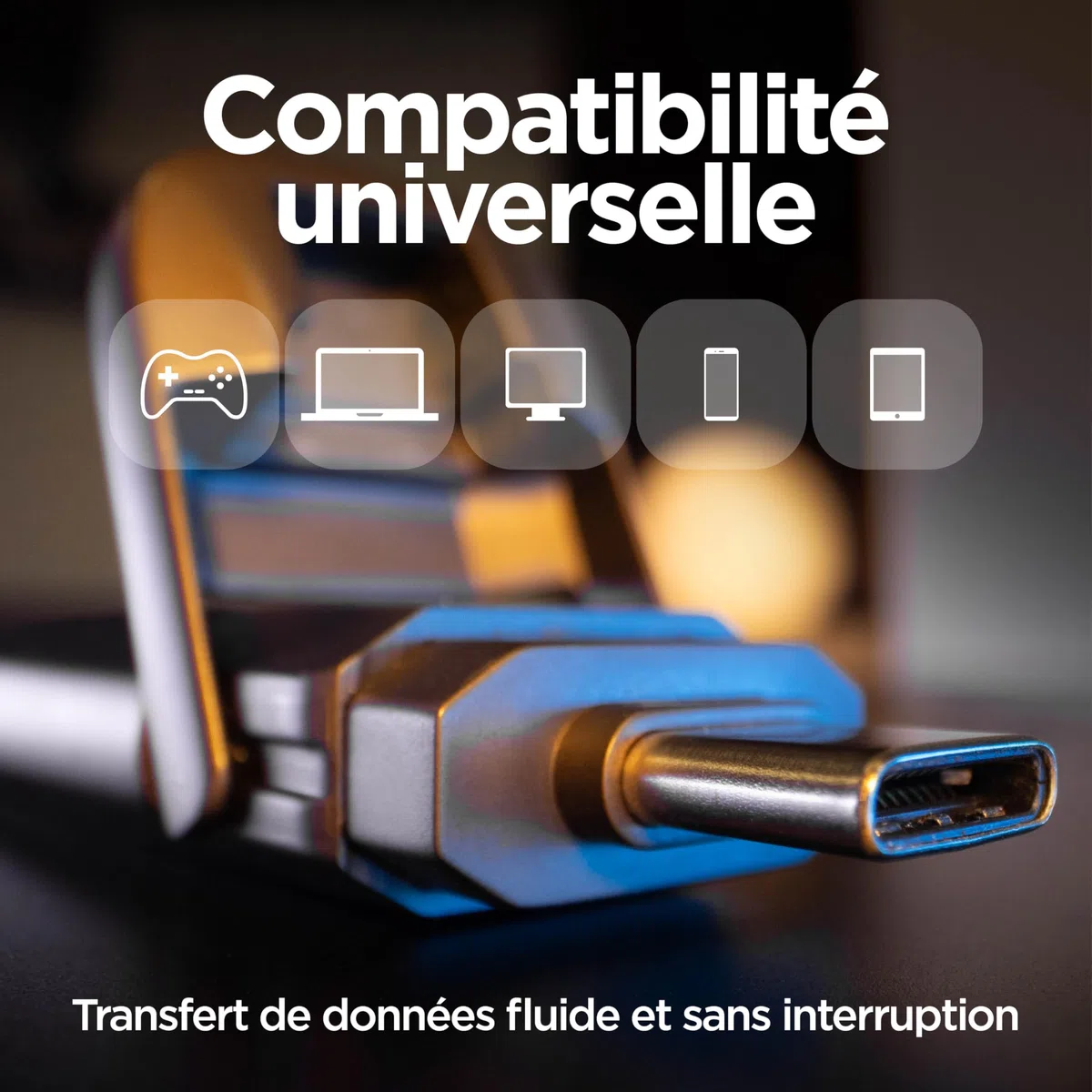 Clé USB en métal Integral USSD 1 TB Turbo-C USB 3.2 Gen 2x2, SSD Portable Ultra-Rapide, Lecture Jusqu’à 2 000 MB/s et écriture Jusqu’à 1 800 MB/s - Design Durable en Alliage de Zinc