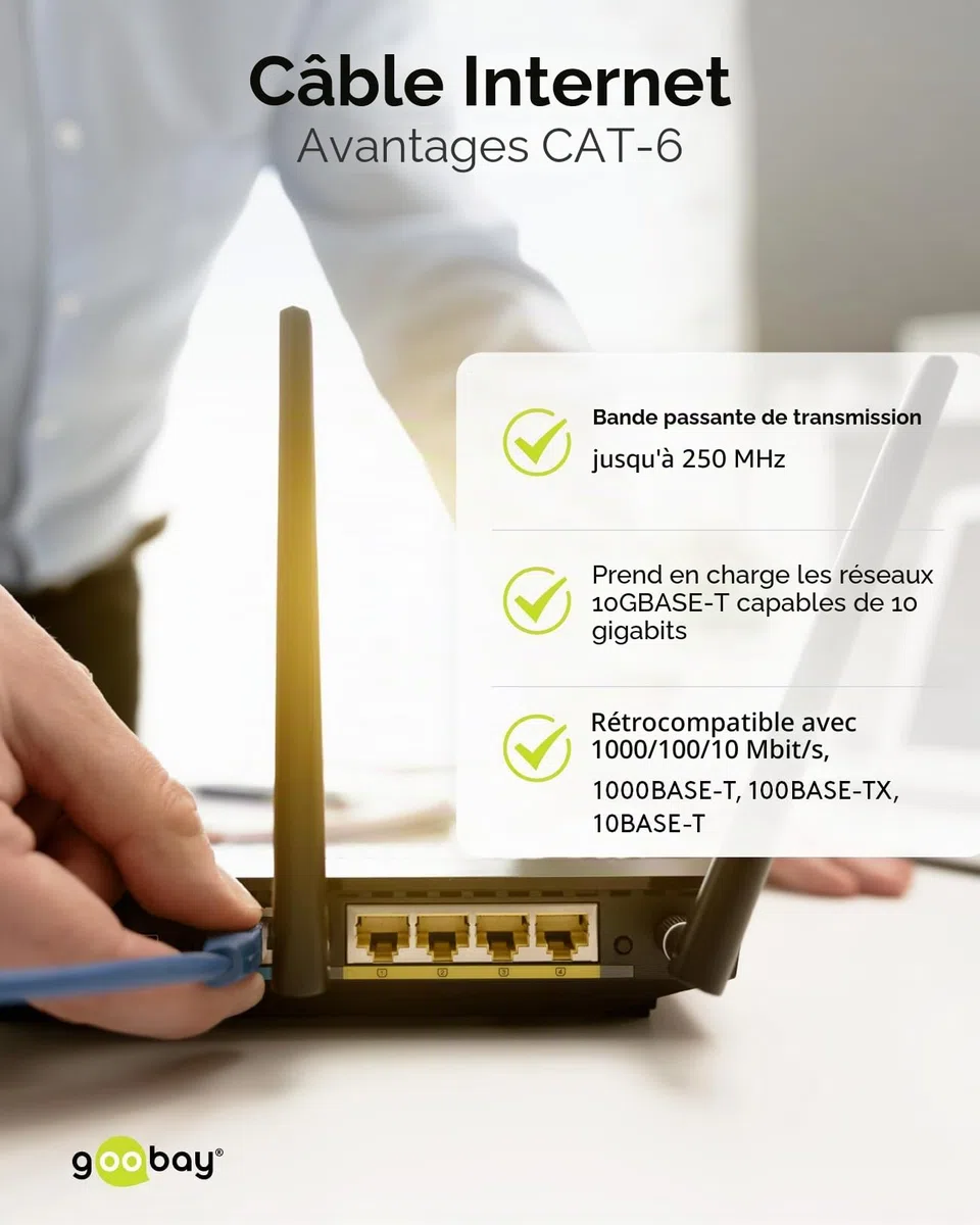 goobay Lot de 10 câbles réseau CAT6 blindés S/FTP/CU Ethernet PiMF LSZH/Cat 6 avec 10 Gbits Blanc 10 x 3 m 65988