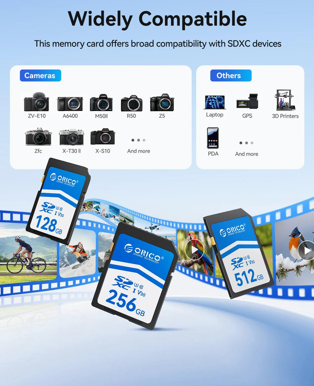 ORICO Carte SD 64 Go, UHS-I, C10, U3, V30, Full HD, 4K, Vitesse de Lecture jusqu'à 100 Mo/s, Carte Mémoire SDXC pour Appareils Photo Reflex Numériques et Hybrides Canon, Nikon, Sony, Fujifilm – SD30