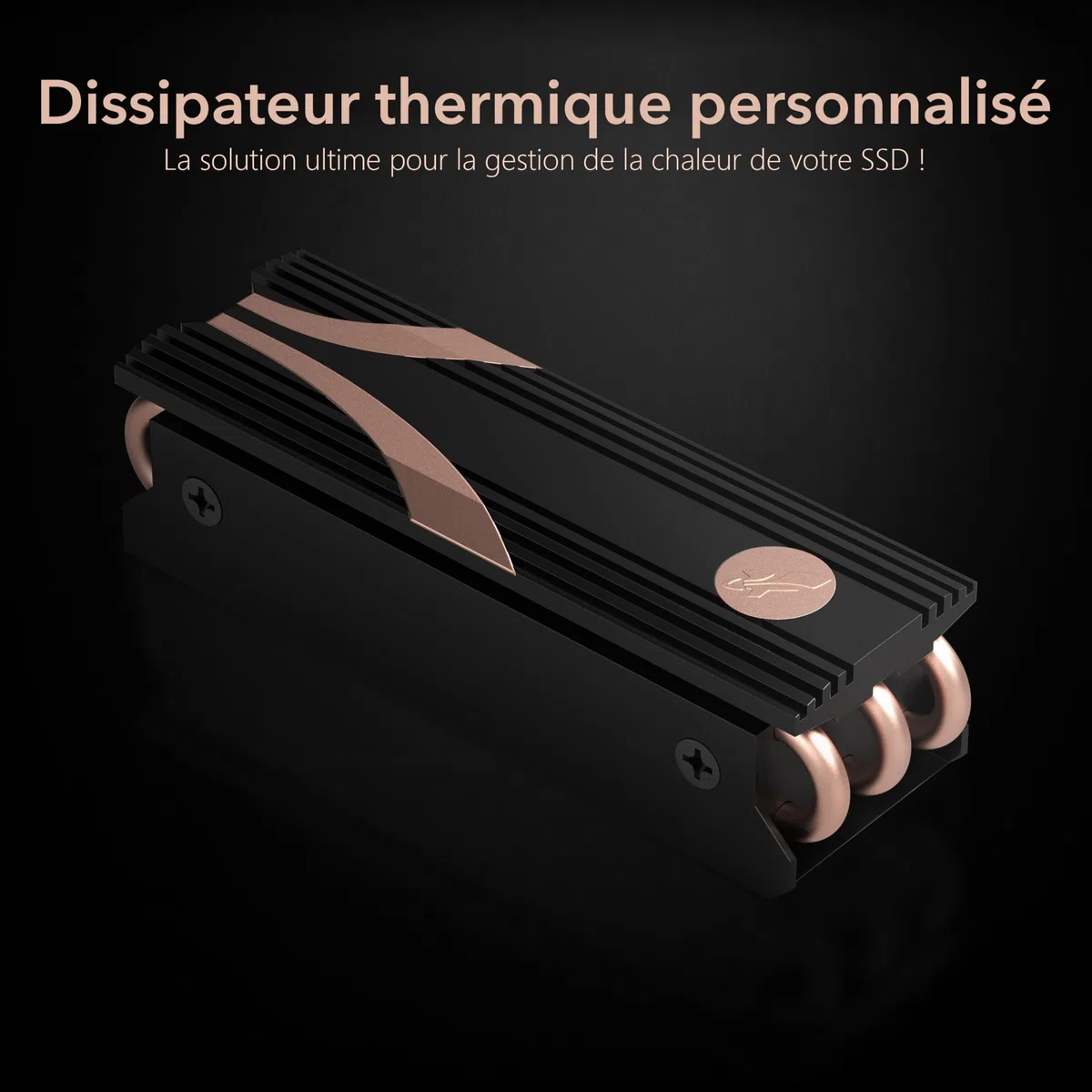 SABRENT Dissipateur thermique ssd NVMe, M.2 Cooler Heatsink, PCIe radiateur Dissipateur compatible avec modules 2280 2260 2242 2230 Conçu pour les ordinateurs de bureau (SB-HTSK)