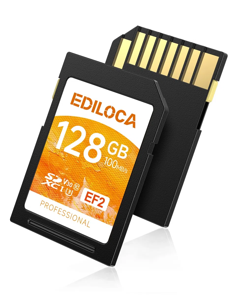 Ediloca EF2 Carte SD 128Go, Carte mémoire SD UHS-I, Lecture 100 Mo/s, écriture 90 Mo/s, C10, U3, V30, vidéo Full HD et 4K, pour photographes Professionnels