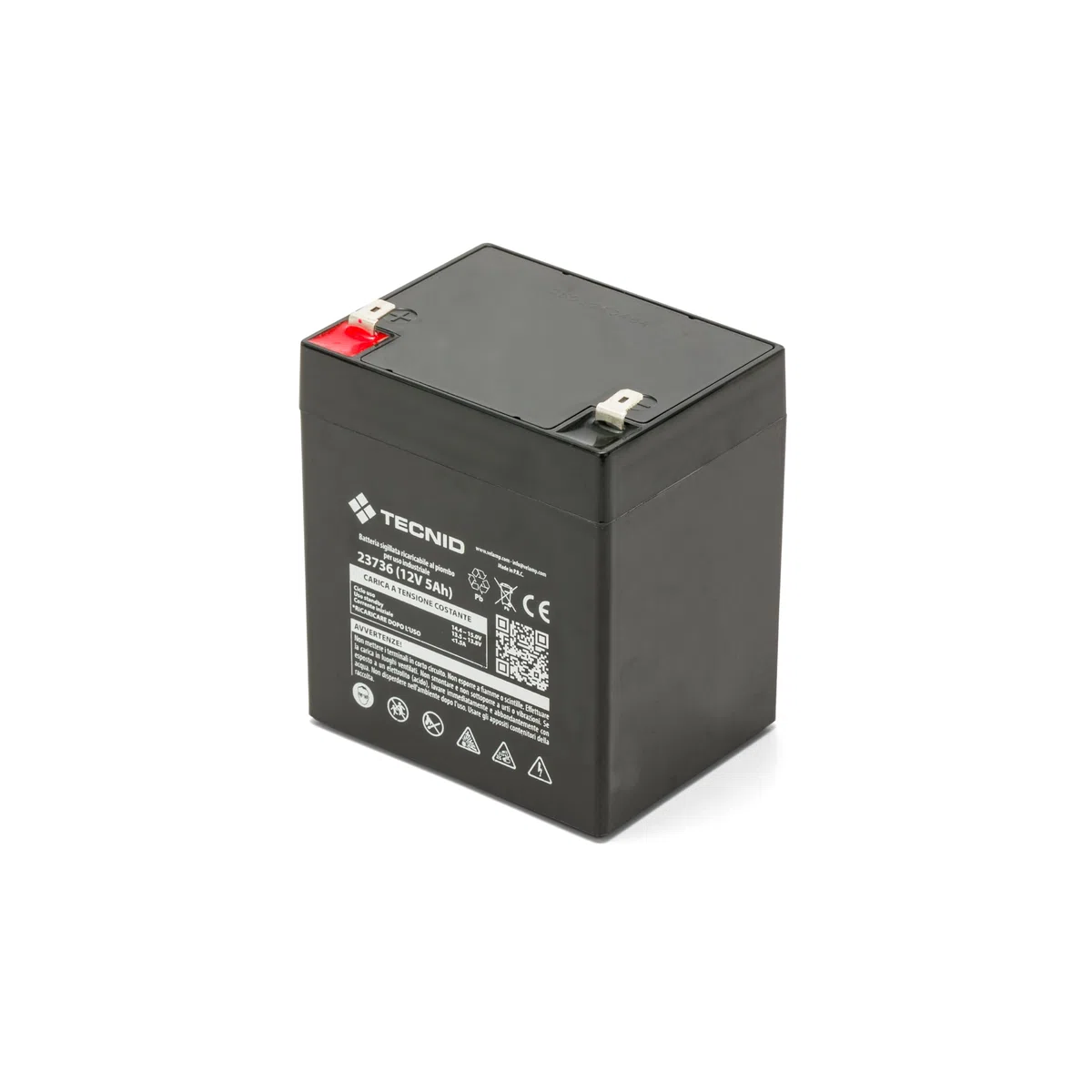 Batterie au Plomb Rechargeable, accumulateur au Plomb avec connexions Faston, 12 V 5 Ah. pour onduleurs, systèmes d'alarme, Loisirs...